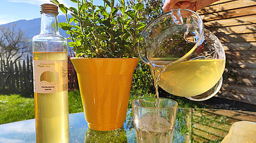 Mátový sirup