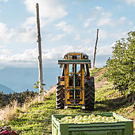 Jablečná oblast (© Leitnerhof Vöran)