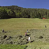 Vysokohorské zemědělství