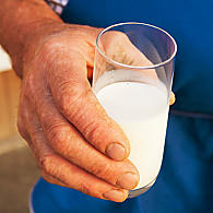 Čerstvé mléko (© IDM/Frieder Blickle)