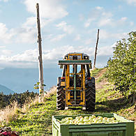 Pěstitelská oblast jablek Jižní Tyrolsko (© Leitnerhof Vöran)