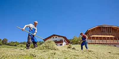 Senoseč na statku v Jižním Tyrolsku