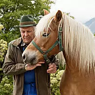 Domov haflingských koní a živé koňské tradice
