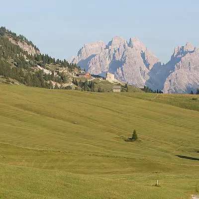 Alpská pastvina Plätzwiese: zelený ráj
