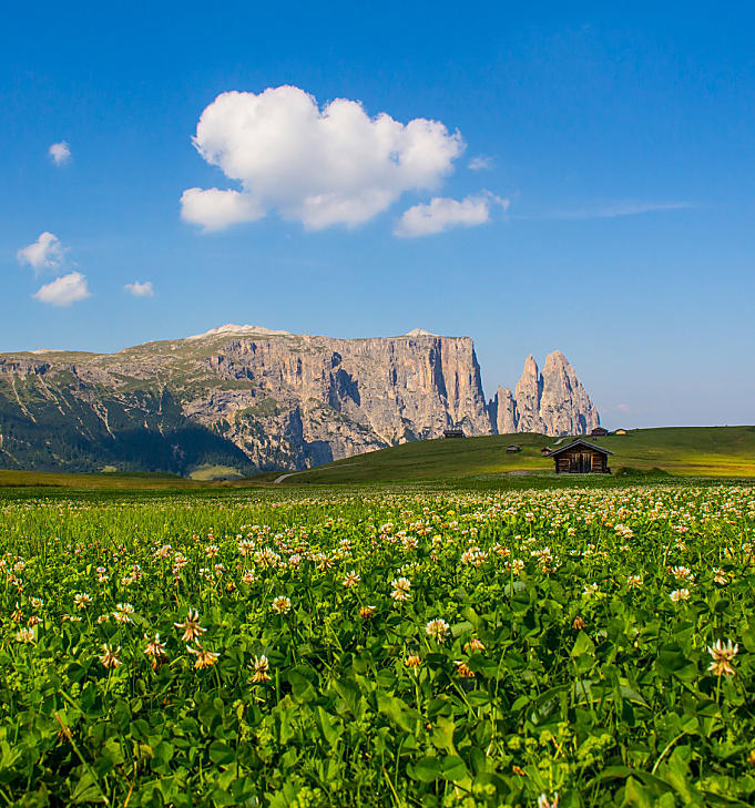 Seiser Alm: největší vysokohorská pastvina v Evropě