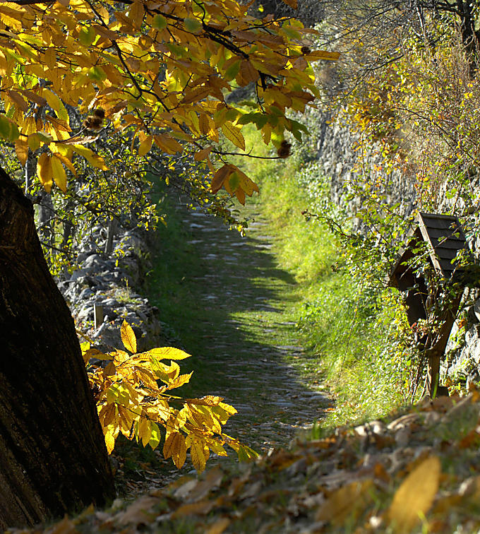 Kaštanová stezka: podzimní klenot v údolí Eisacktal