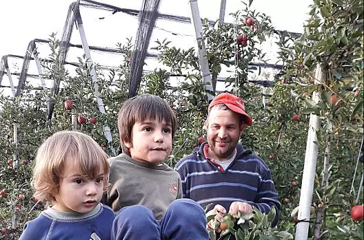 Anton, Felix a Moritz pri sklizni jablek. Všichni pomáhají a teší se na dobrou úrodu.