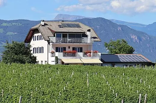 Obklopen vinicemi
