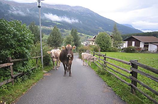 Vernunghof - Seznam Photo