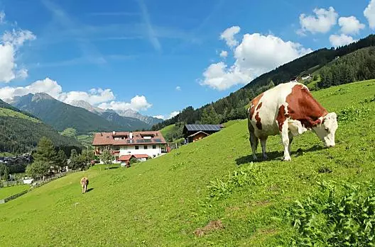 Mitterlembach - Seznam Photo