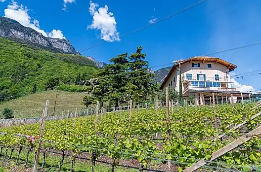 Zedernhof - Seznam Photo