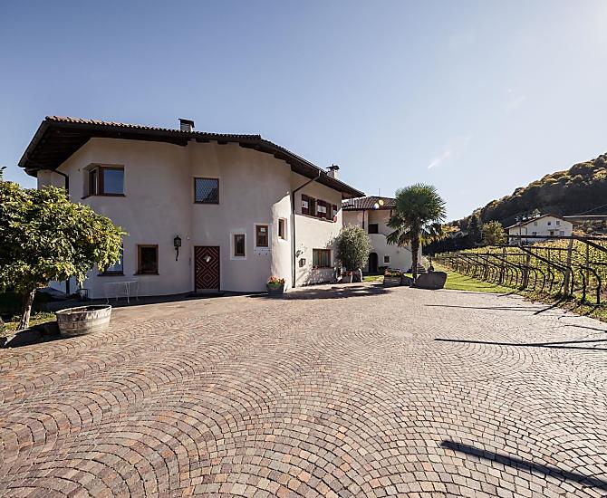 Privatkellerei Weingut Donà - Fotogalerie Photo