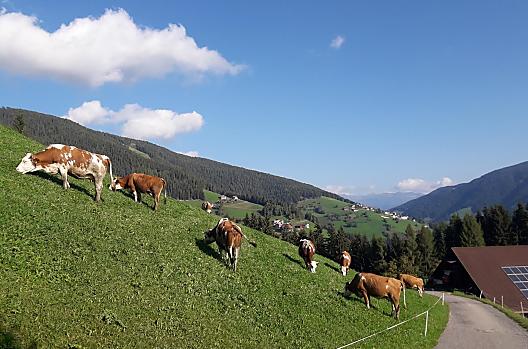Col de Tlames - Seznam Photo