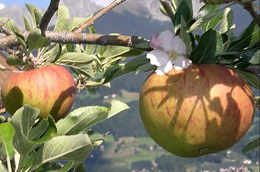 Schlecht´n-Hof - Seznam Photo