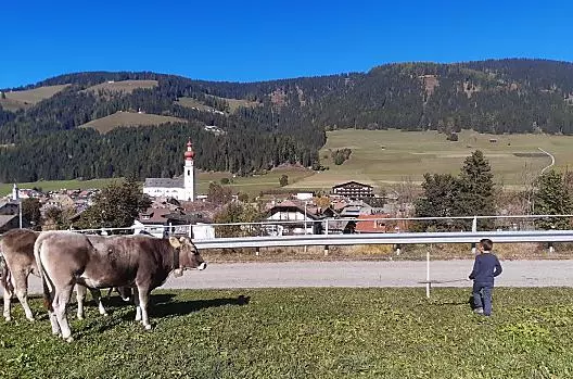 Hoferhof - Seznam Photo