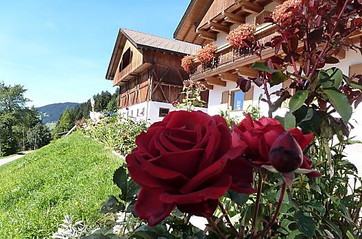 Oberpappinghof - Seznam Photo