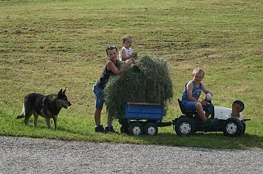 Naše děti při práci na seně