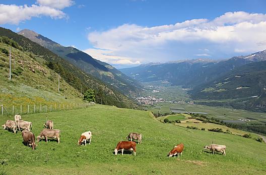 Untertröghof - Seznam Photo