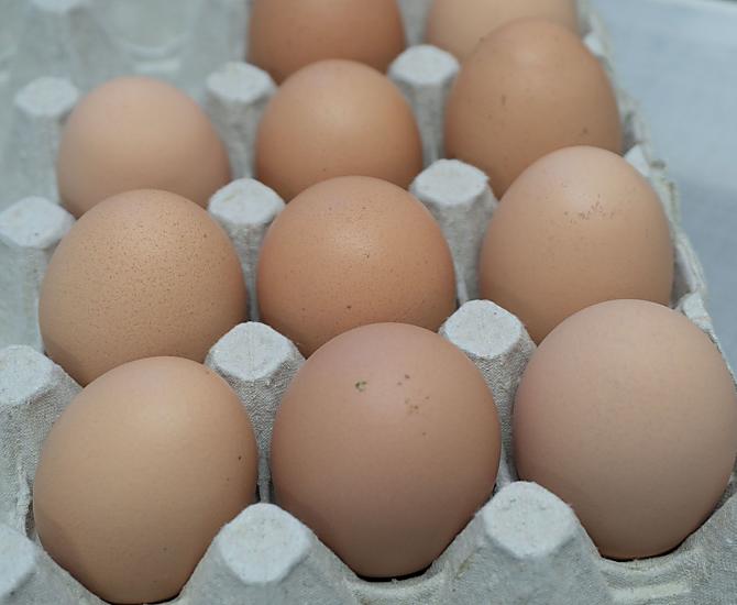 Eier