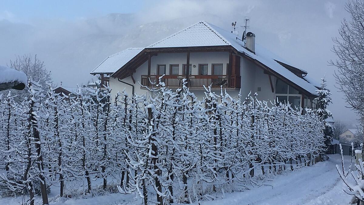 Meral in Körbelhof - Fotogalerie Photo