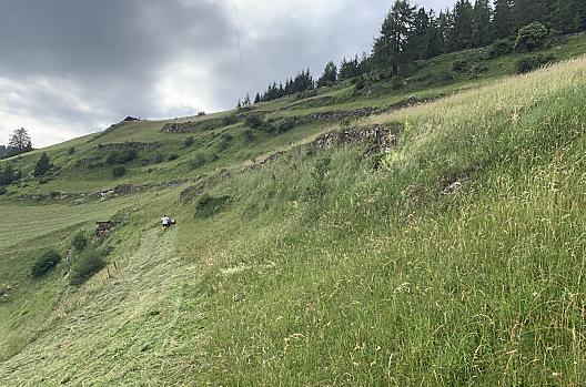 Larciuneihof - Seznam Photo