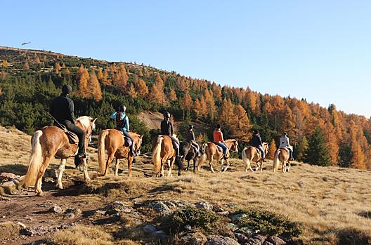 Oberfahrerhof - Seznam Photo
