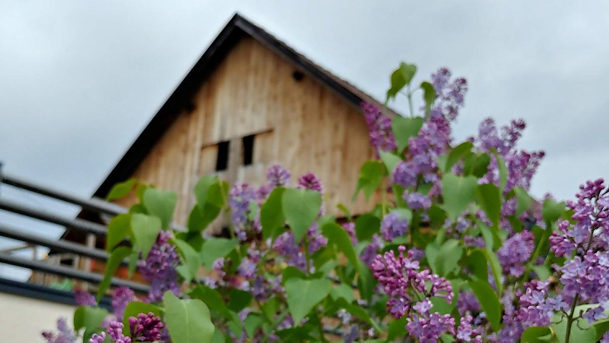 Krebslechnerhof - Fotogalerie Photo