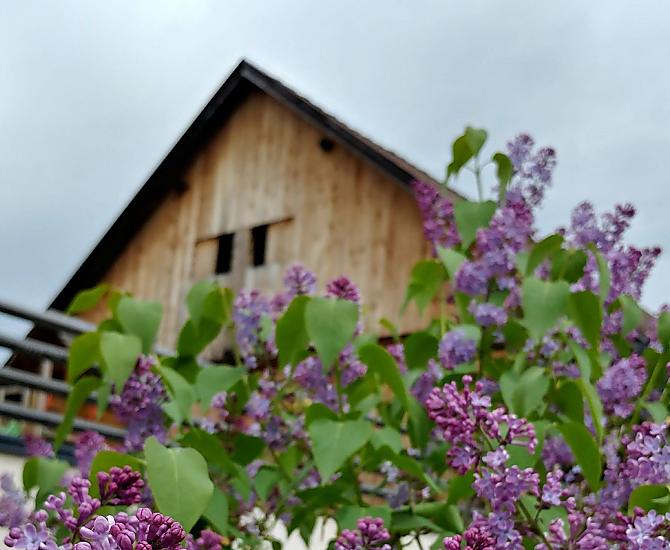 Krebslechnerhof - Fotogalerie Photo