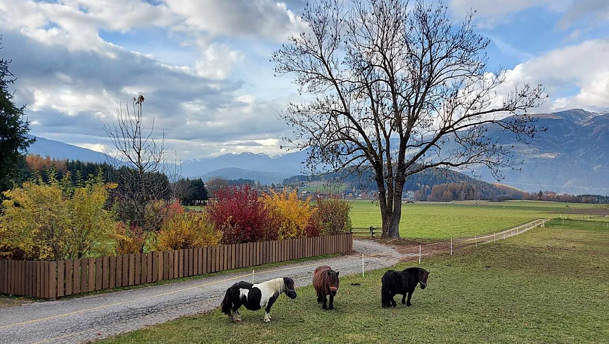 Krebslechnerhof - Fotogalerie Photo