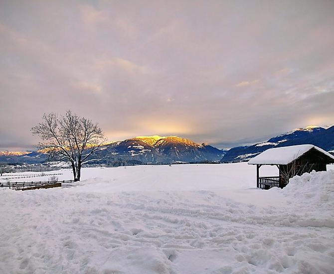 Krebslechnerhof - Fotogalerie Photo