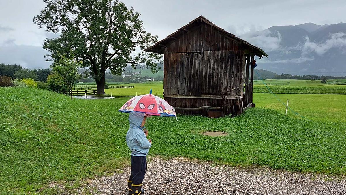 Krebslechnerhof - Fotogalerie Photo