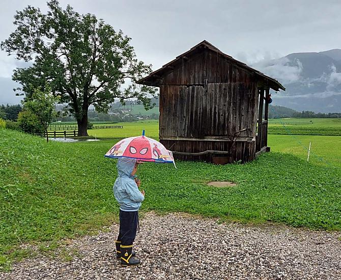 Krebslechnerhof - Fotogalerie Photo