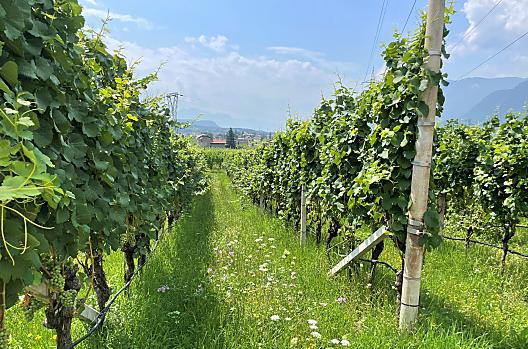Bühel im Gschleier - Seznam Photo