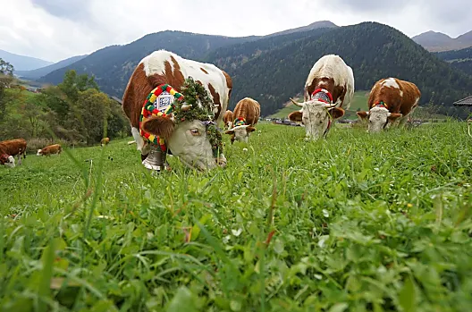 Unterhabererhof - Seznam Photo