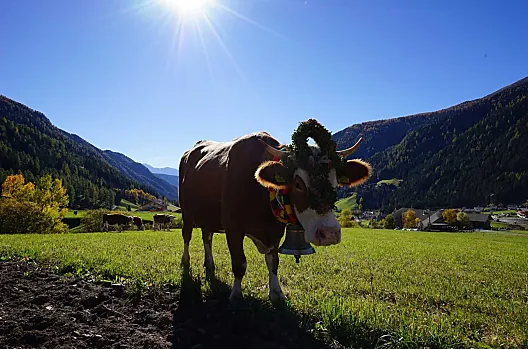 Unterhabererhof - Seznam Photo