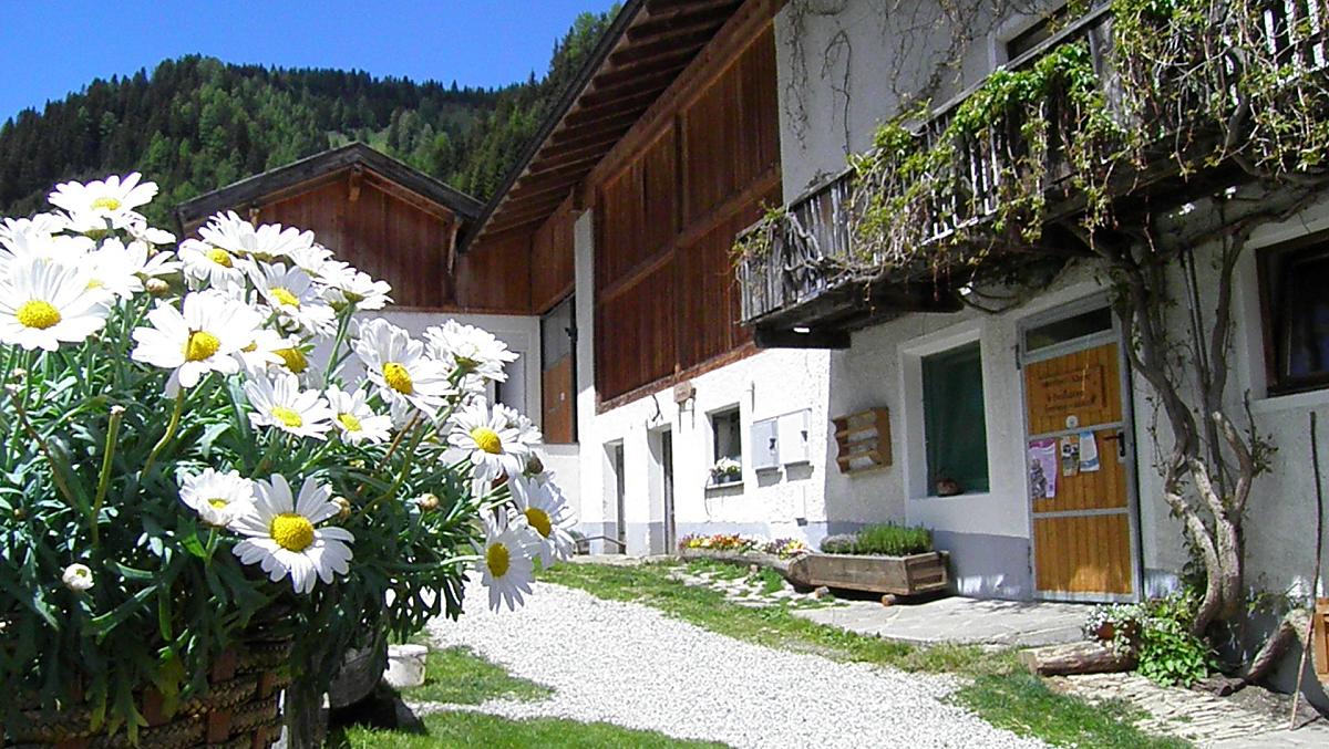 Ungererhof - Fotogalerie Photo