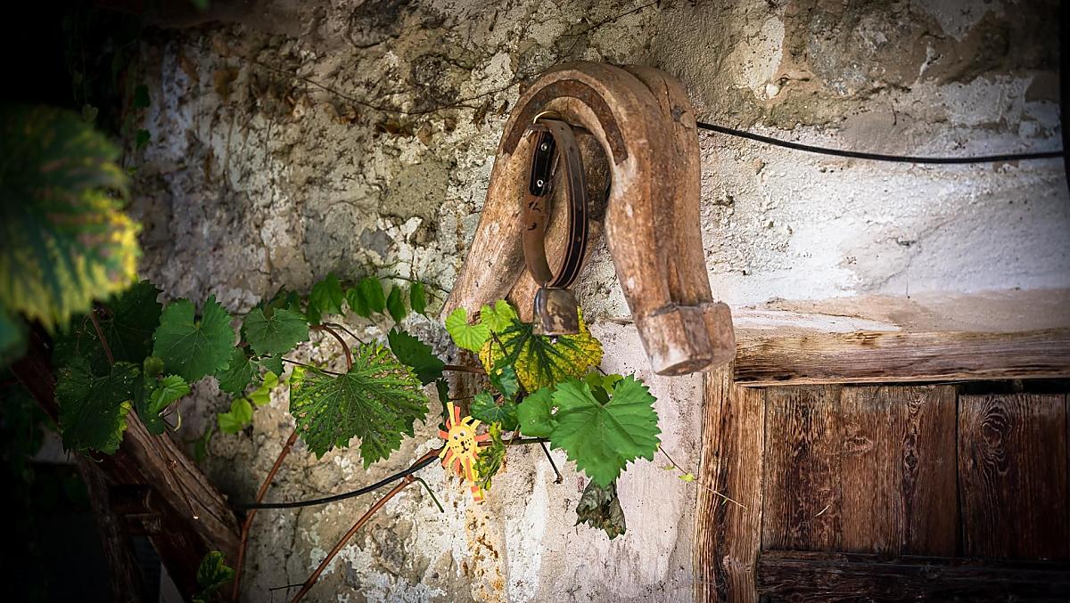 Lanznasterhof - Fotogalerie Photo