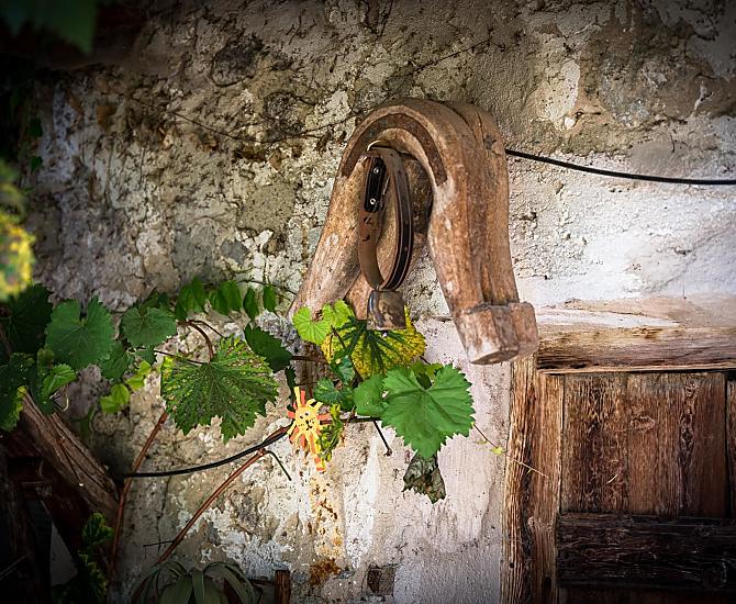 Lanznasterhof - Fotogalerie Photo