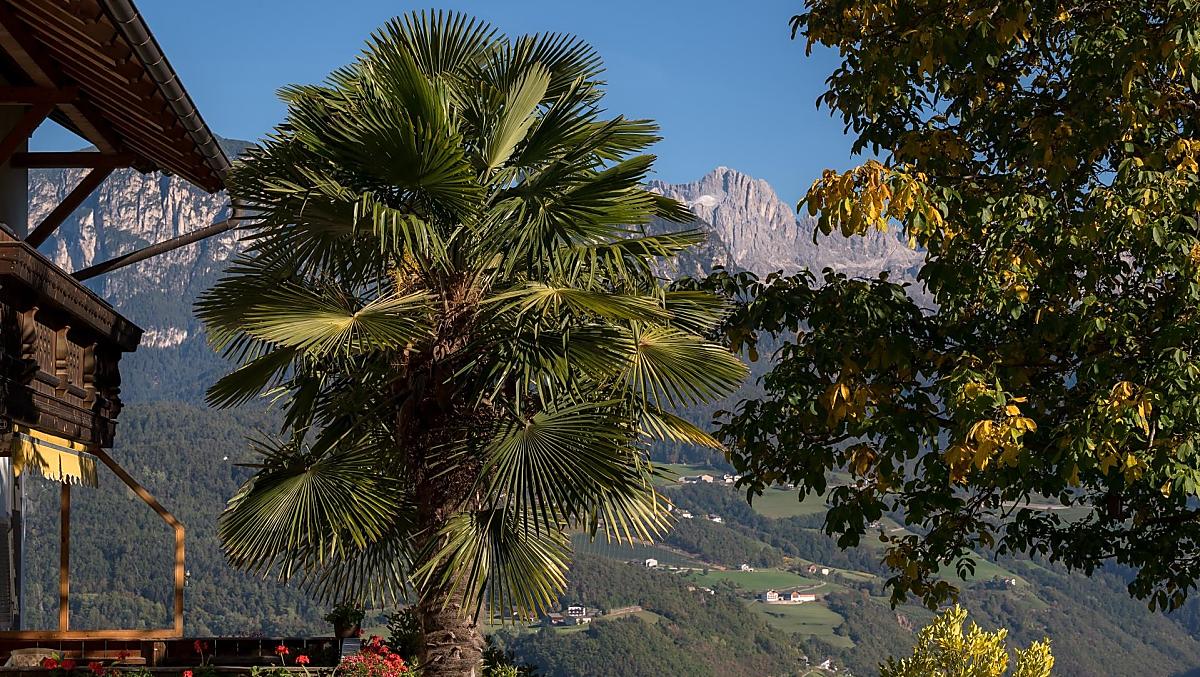 Lanznasterhof - Fotogalerie Photo