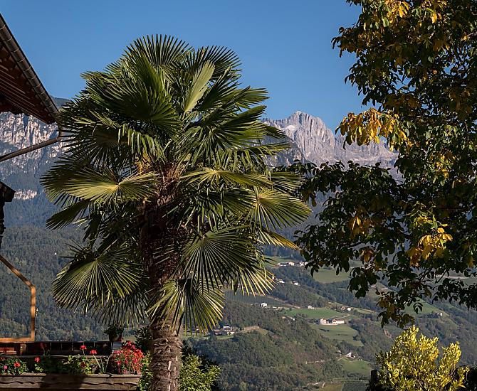 Lanznasterhof - Fotogalerie Photo