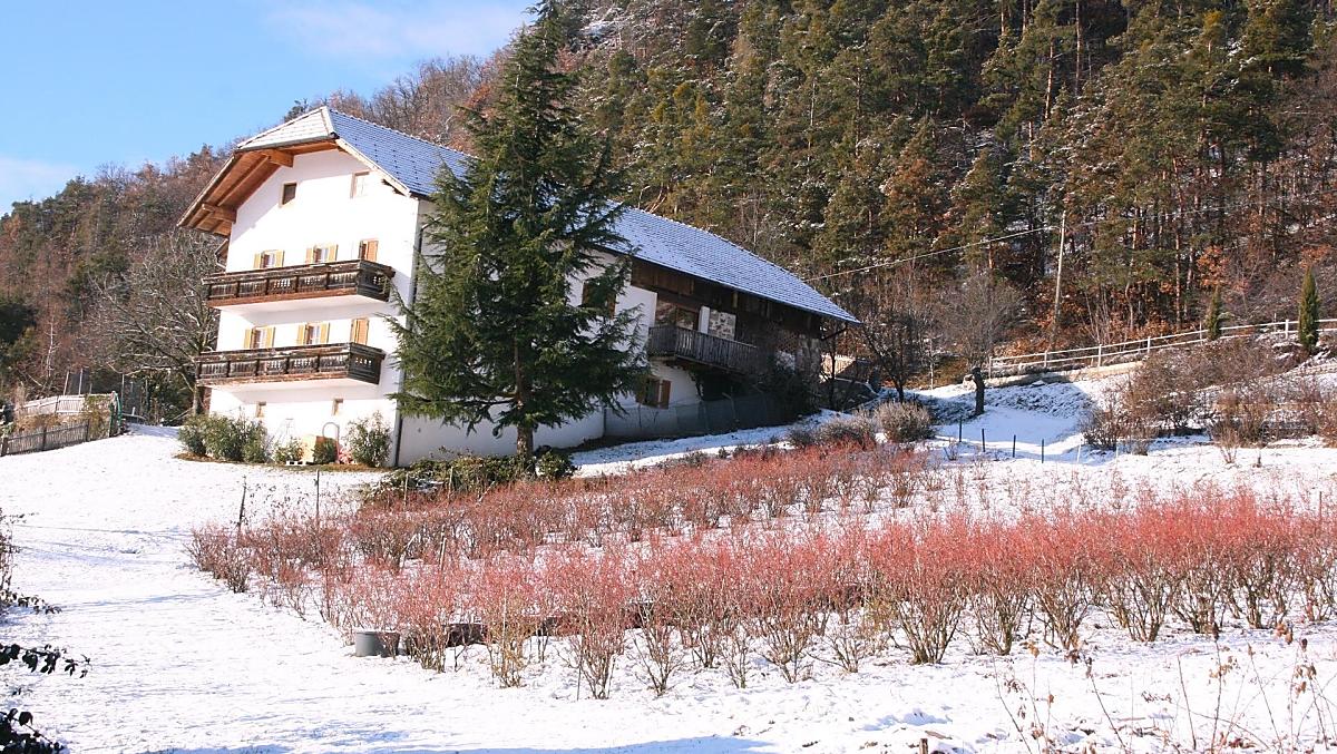 Lanznasterhof - Fotogalerie Photo