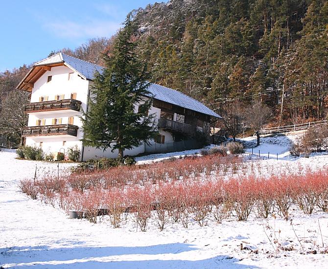 Lanznasterhof - Fotogalerie Photo