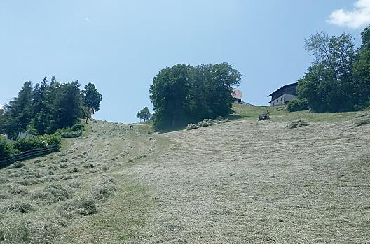 Aschnerhof - Seznam Photo
