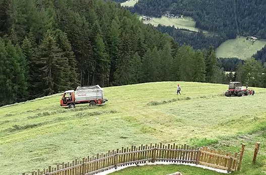 Práce se senem