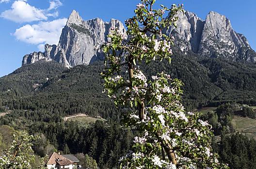 Simmele Müller Hof - Seznam Photo