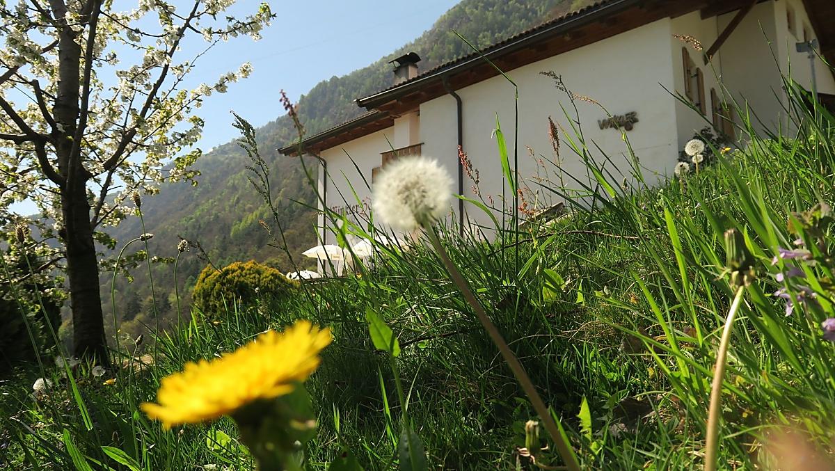 Winklerhof - Fotogalerie Photo