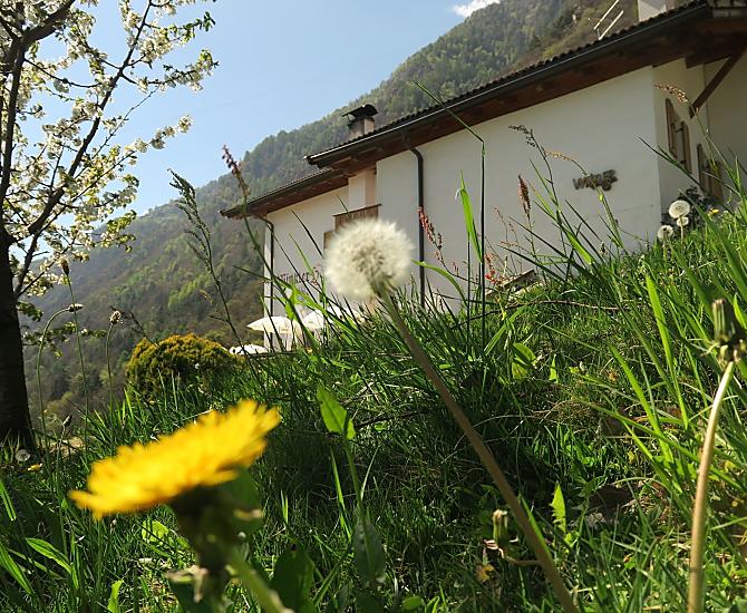 Winklerhof - Fotogalerie Photo