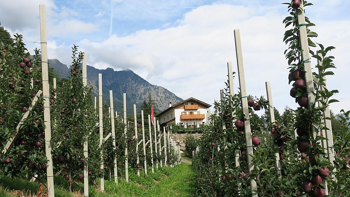Winklerhof s jablecnými sady