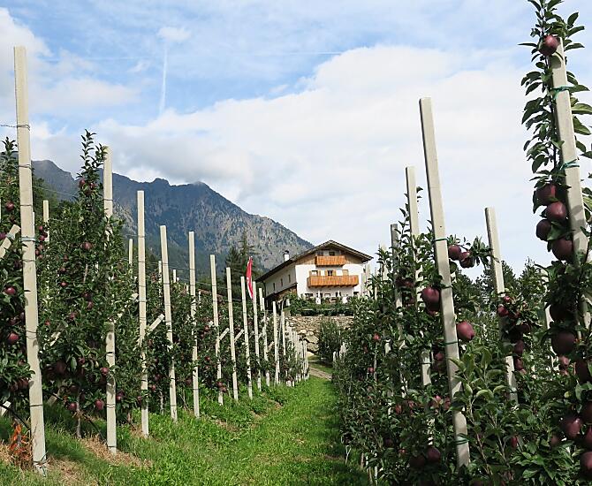 Winklerhof s jablecnými sady