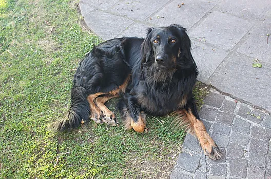 Prechtlhof - Seznam Photo